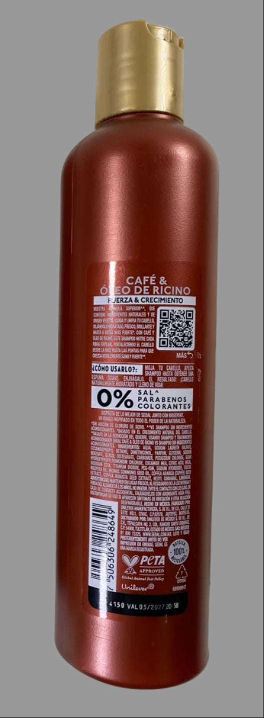 Shampoo bottle and tube with gold caps on a light gray background