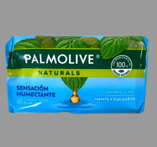 Palmolive Naturals Mint and Eucalyptus moisturizing bar soap 120g front view